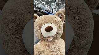 超级大熊玩具 jumbo sitting bear 2.4 meters #toronto #shortvideo #viral #fyp #jumbo #bear #short