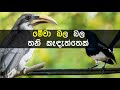 pan kiriththa karaoke with lyrics without voice