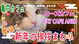 リキを可愛がってくれるカフェに新年のご挨拶回りをしてきました#ノルウェージャンフォレストキャット #新年のご挨拶 #お雑煮#2023#あけましておめでとうございます#亀戸