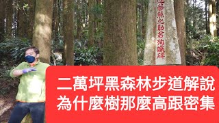 Jim愛導覽：介紹阿里山二萬坪黑森林古蹟及樹木的歷史介紹，非常豐富！後面直接而看到漂亮大景：雲海20230123