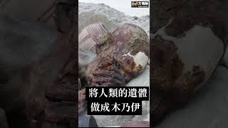 古埃及「卡諾皮克罐」的作用是什麼?這個精緻的小罐子隱藏古埃及的大秘密!|方塊酥#shorts