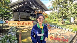 ก.กวาง ปาแอ่ว : VLOG มาดู ก.กวาง ทำงานกั๋น