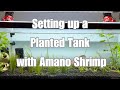 Setting up a Planted Tank with Amano Shrimp