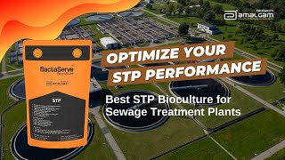 BactaServe Bioculture - The Best Sewage Treatment Bioculture to optimize your STP Performance