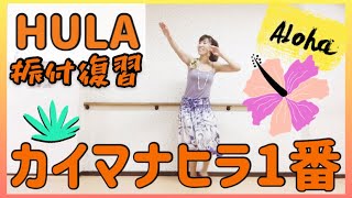 #1179【HULA】カイマナヒラ1番振付復習🌺フラダンス初心者にオススメの曲KAIMANAHILA🌺Mio-STYLEフラ\u0026ヨガストレッチ\u0026エクササイズ💕