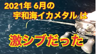 2021年★1発目・・・宇和海イカメタル