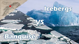 Banquise ou Iceberg? Quelle est la différence? - Northern Star #6