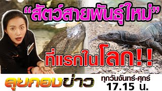 ลุยกองข่าว2020 #054 “งูสายพันธุ์ใหม่ ตัวแรกของโลก” พบที่ไทยเรานี่เอง