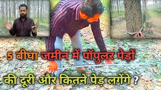 पेड़ों की दूरी और 5 बीघा में कितने पेड़ लगेंगे 👍#farming#agriculture#kheti