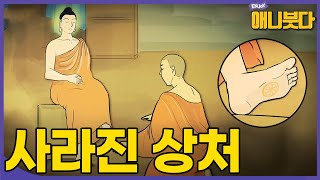 [#애니붓다] 모든 속박을 끊은 이에게 고통은 존재하지 않는다 #담마빠다 #애니메이션 #오리지널콘텐츠