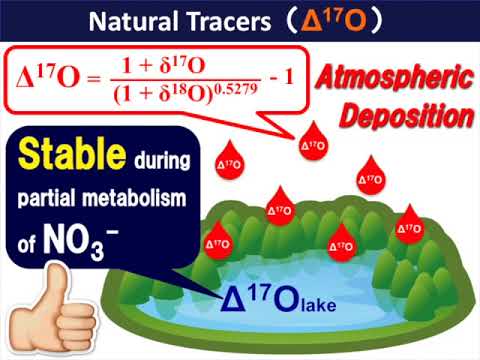 L&O: Quantifying nitrate dynamics in a mesotrophic lake using triple oxygen isotopes as tracers