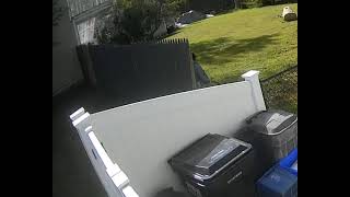 Amazon delivery "out back"