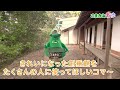 こまき山散歩　第7回（創垂館編）