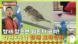 [TV 동물농장 레전드] 참새 잡으면 뭐든지 공짜! 마트 직원×손님 총출동한 참새 포획작전! 풀버전 다시 보기 I TV동물농장 (Animal Farm) | SBS Story