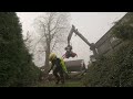 removing a big salix with farmikko 300tce and valtra t235d