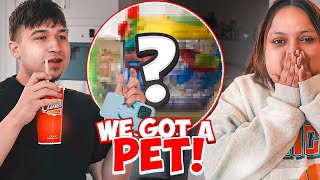We Got A Pet