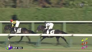 2024年10月14日　新潟12R 3歳以上1勝クラス　芝1800m ムガ