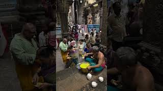 #Prasadam 6.2.25 #Distribution #Sri #Natarajar #Temple #Deekshithars #reels #Shorts