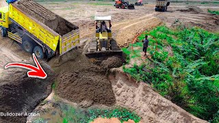 Amazing New Project!! Komatsu D31P Pushing sand to fill the Pond operate unloading by Dunp Truck