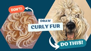 How to draw curly dog fur (best technique for pastel pencils!)