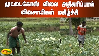 முட்டைகோஸ் விலை அதிகரிப்பால் விவசாயிகள் மகிழ்ச்சி | Thalavadi | Cabbage | Farmers