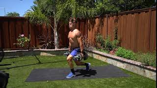 Alternating Dumbbell Suitcase Jump Lunges