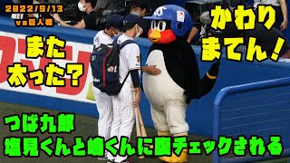 つば九郎　塩見くんと嶋くんに腹をチェックされる　2022/9/13 vs巨人