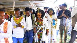 ፍሉይ ዝገርም መርዓ ክልተ መርዑ ኣብ ሓደ ዳስ || Tigray wedding Tigrigna Music