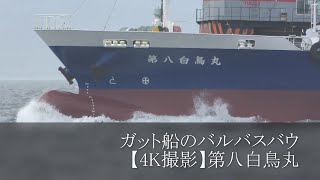 ガット船のバルバスバウ【4K撮影】第八白鳥丸