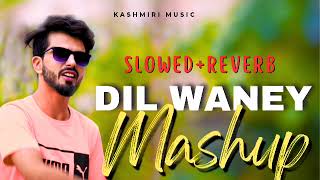 Dil Waney Mashup (Slowed+Reverb) Anu Anaf Kashmiri New Song 2023 #kashmir #sad #viral