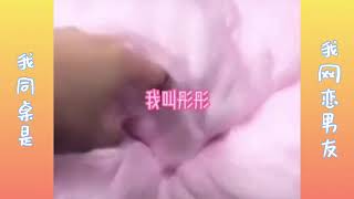 【抖音】玩泥说故事 我同桌是我网恋男友合集 第1-4集 asmr