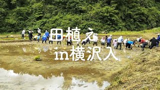 「田植え」をしました！＠横沢入里山保全地域