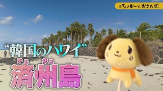 【韓国のハワイ♪済州島×シノビーと、おさんぽ。】フォトジェニックなスポットが沢山！！