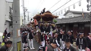 令和元年　信太だんじり祭　連合曳き　北信太駅前やりまわし～葛の葉町乗り入れ～阪和線沿い曳行　葛ノ葉町、幸町、宮本町、王子町、上町、太町、尾井町、上代町、富秋町　令和元年10月14日