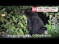 札幌市で「クマ捕獲」の人材育成“鳥獣保護管理法”改正でクマの対応どうなる　警察と市町村の連携がカギに