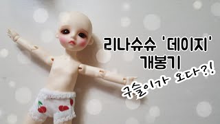 [린별]리나슈슈 데이지 개봉기/Lina choe choe dazy unboxing/구관 개봉기/구슬이가 오다