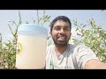 5 இயற்கை உரங்கள் வீட்டில் தயாரிக்கப்பட்டது zero cost homemade organic fertilizers for all plants