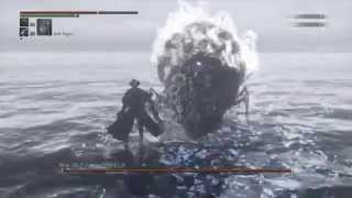 10. NG+9 Bloodborne bosses no vials 血源诅咒Boss打法