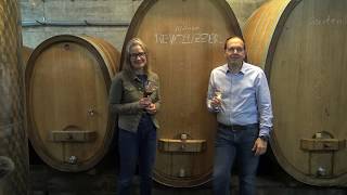 Weintaxi Wiesbaden - Weingut BIBO RUNGE -Vorstellung