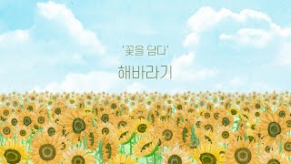 '꽃을 담다' 8월 해바라기 ｜ 고창 학원농장