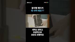 붕어빵메이커 쿠팡 추천템 3종 1분 리뷰 | 체쿠리스트 #shorts