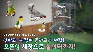 반려 앵무새ㅣ선반형새장ㅣ 새장이 분리되어 청소가 쉽고 이쁜 오픈형 새장  NO.DA80DG