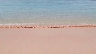 粉紅沙灘PINK BEACH- 科莫多國家公園 浪漫探險旅行