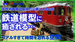 【マニアックな鉄道模型】この非日常感がたまらなくいいね。鉄道模型ファンじゃなくても癒されちゃう(笑#鉄道模型