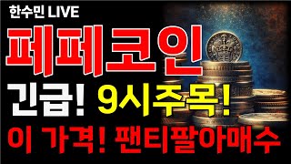 [페페코인 전망] 긴급! 9시 주목하세요! 이 가격때 팬티까지 팔아 매수