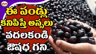 ఆరోగ్య ఫల ప్రధాయిని నేరేడు పండు గొప్ప ఔషధ గని | Health Benefits Jamun Black Berry | Aarogya Sutra.