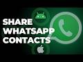How to Share WhatsApp Contacts