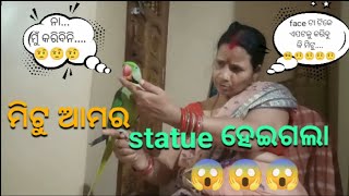 ମିଟୁ ର କଣ ହେଲା ସେ କାହିଁକି statue ହେଇଗଲା 😱😱😱😱।।@pujakaluvlogs