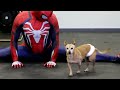 spider man s taekwondo for kids class 1 50 min