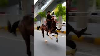horse runing video || horse race video || #shorts #animal #horse